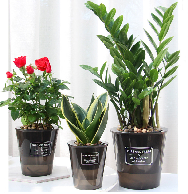 Aloe Vera Pot - Автоматический поглощающий воду цветочный горшок, самополивающийся