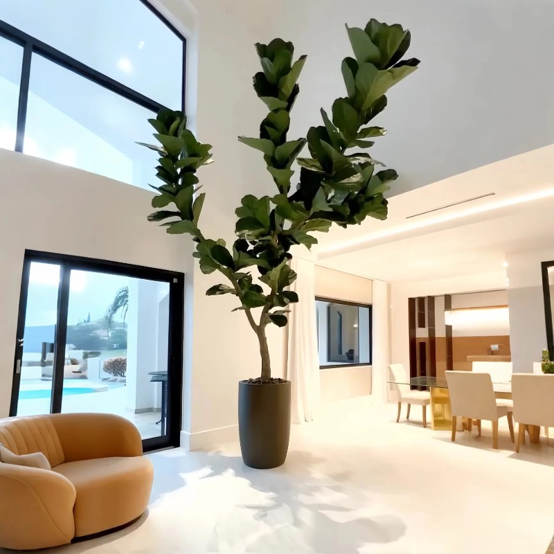 Ficus Lyrata Tree - Искусственные растения Комнатное растение в горшке