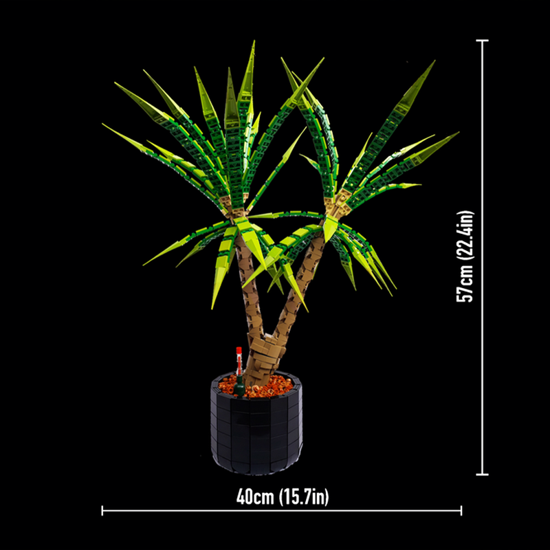 1961 деталь MOC: Средневековый – обзор и цена Dracaena Marginata