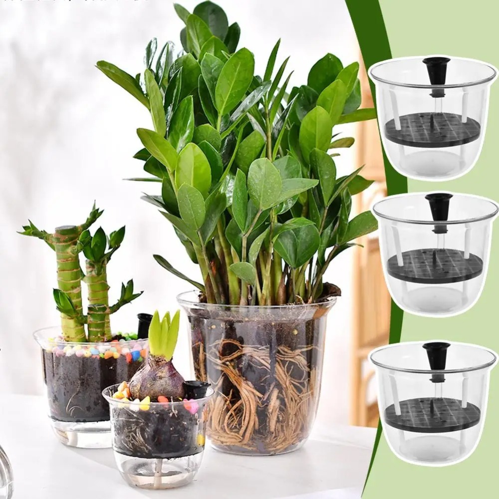 2 шт. самополивающиеся горшки  – обзор и цена Aloe Vera Pot