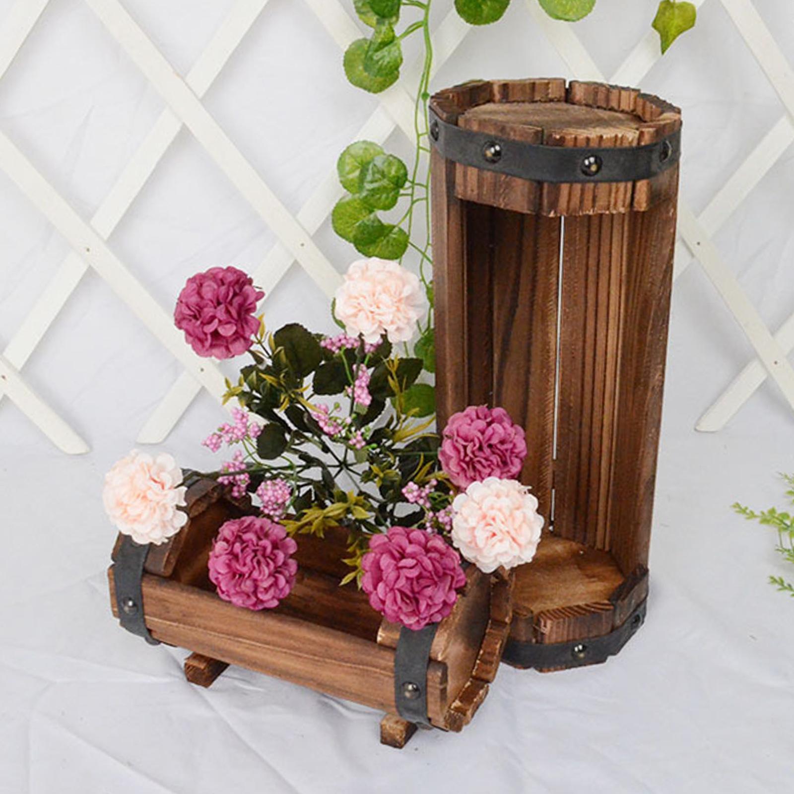 Антикварный декоративный цвето – обзор и цена Echeveria Succulent