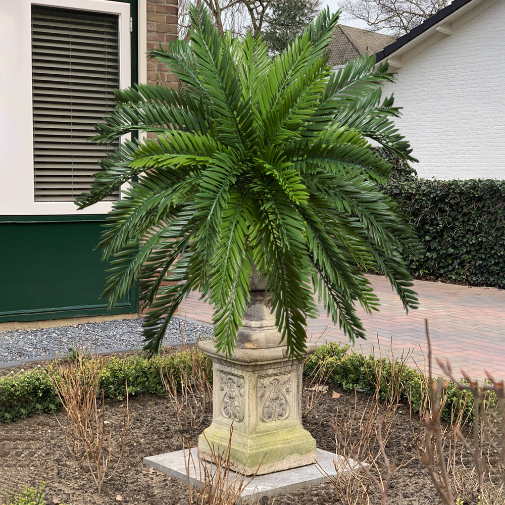 Искусственные пальмы 45 см, им – обзор и цена Dracaena Marginata