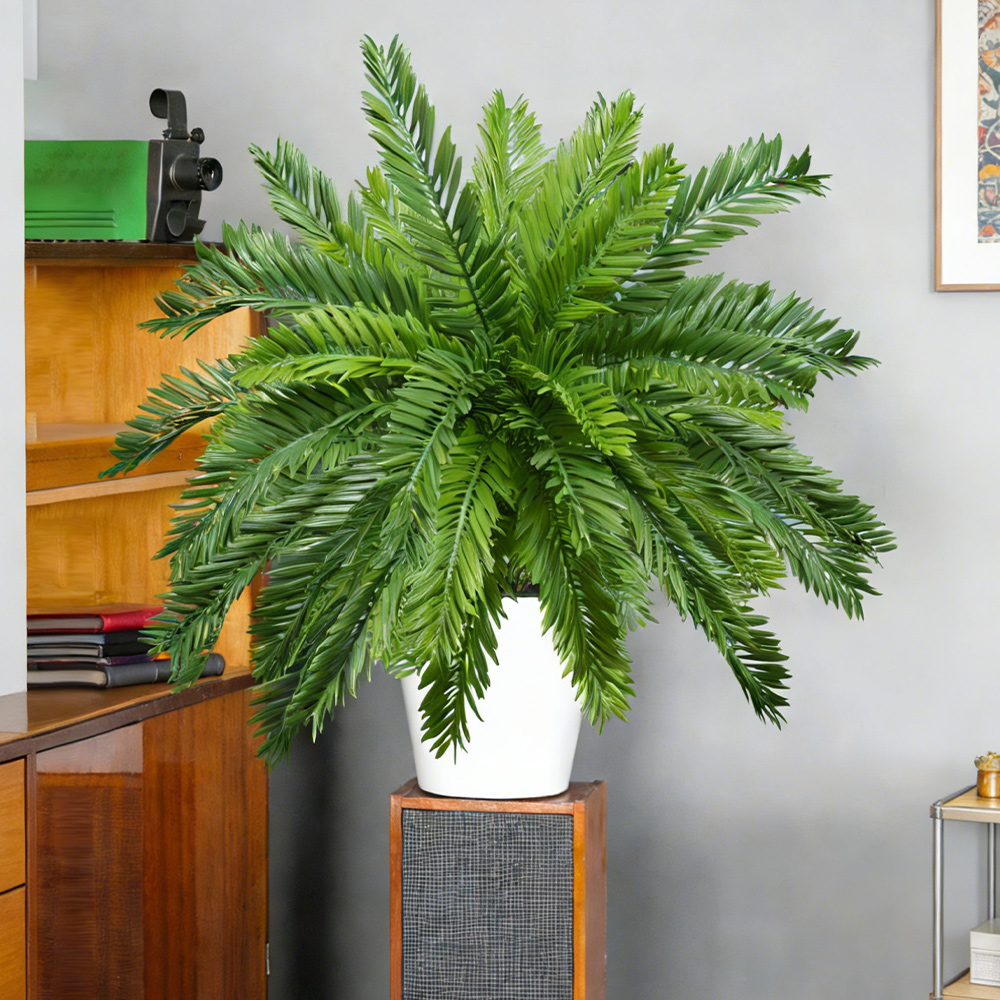 Искусственные пальмы 45 см, им – обзор и цена Dracaena Marginata