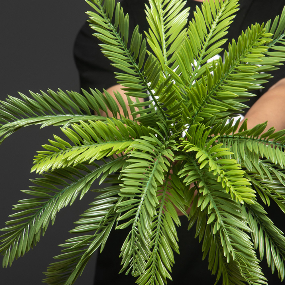 Искусственные пальмы 45 см, им – обзор и цена Dracaena Marginata