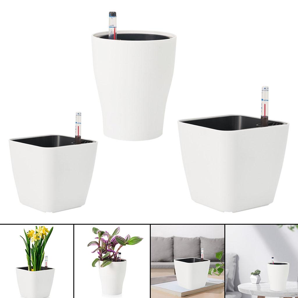 Самополивающиеся цветочные гор – обзор и цена Aloe Vera Pot