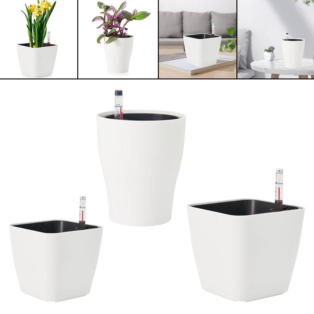 Самополивающиеся цветочные гор – обзор и цена Aloe Vera Pot