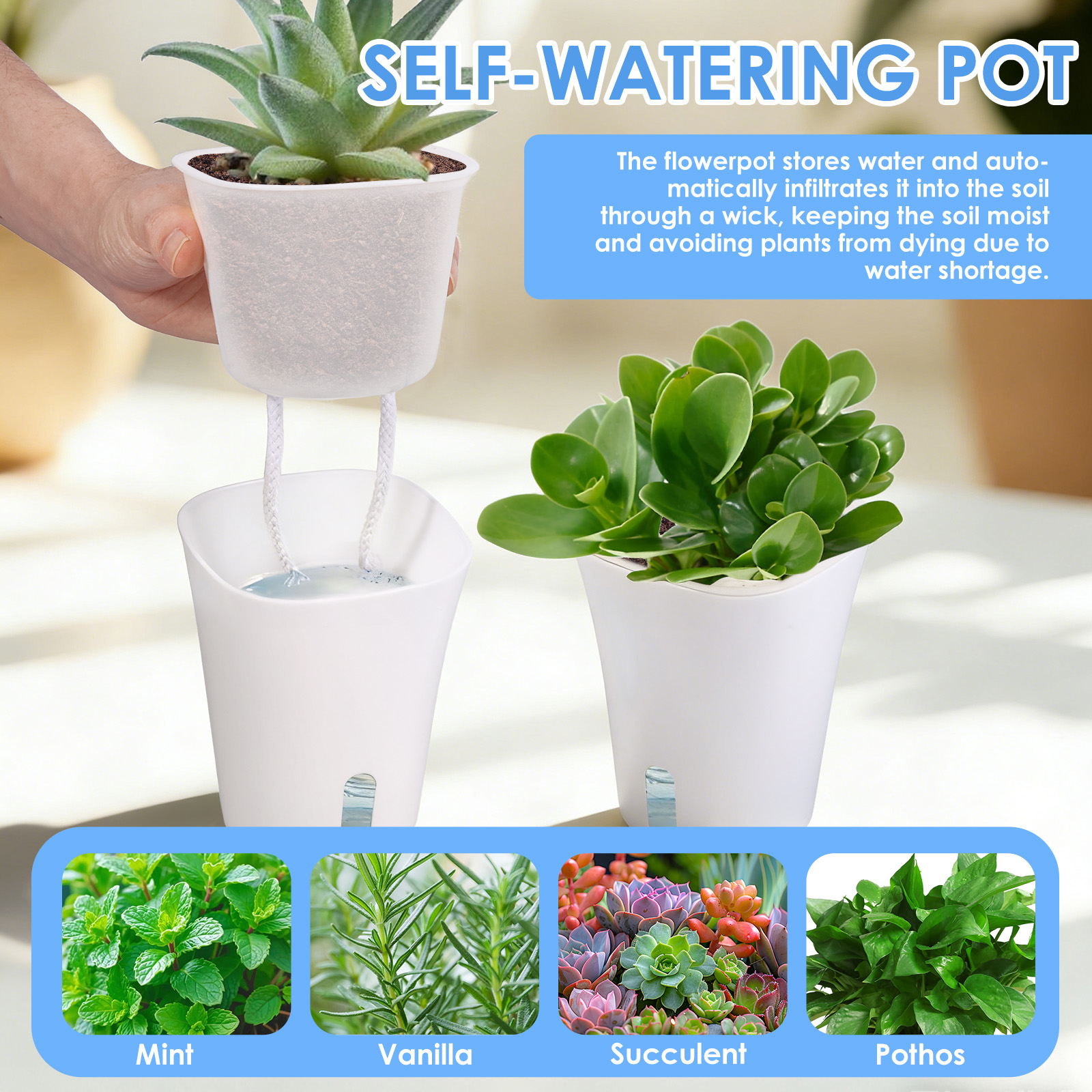 10 шт. самополивающихся пласти – обзор и цена Aloe Vera Pot
