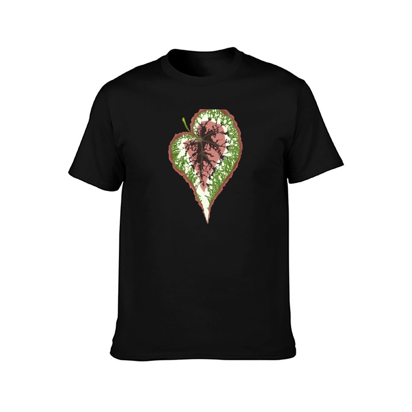 Футболка Begonia Rex, простой  – обзор и цена Begonia Rex