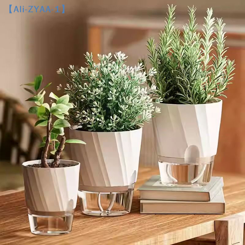 【ZYAA-1】Удобный гидропонный цв – обзор и цена Aloe Vera Pot