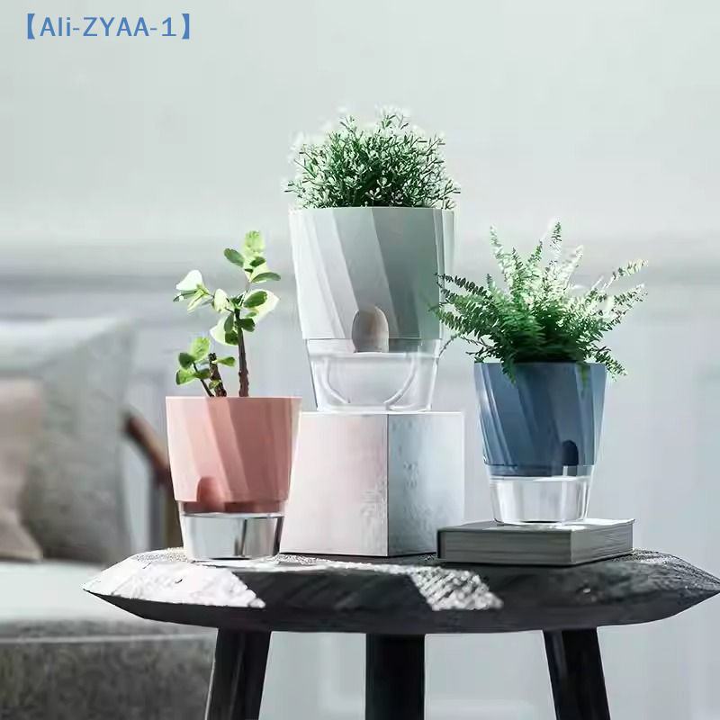 【ZYAA-1】Удобный гидропонный цв – обзор и цена Aloe Vera Pot
