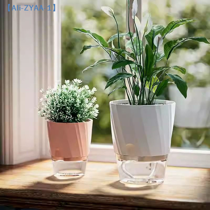 【ZYAA-1】Удобный гидропонный цв – обзор и цена Aloe Vera Pot