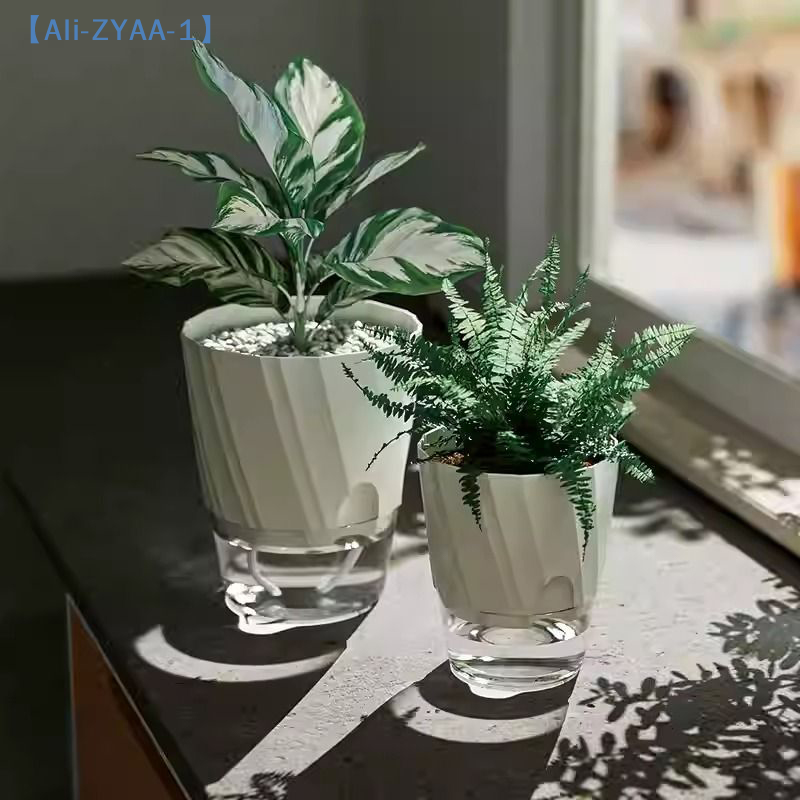 【ZYAA-1】Удобный гидропонный цв – обзор и цена Aloe Vera Pot