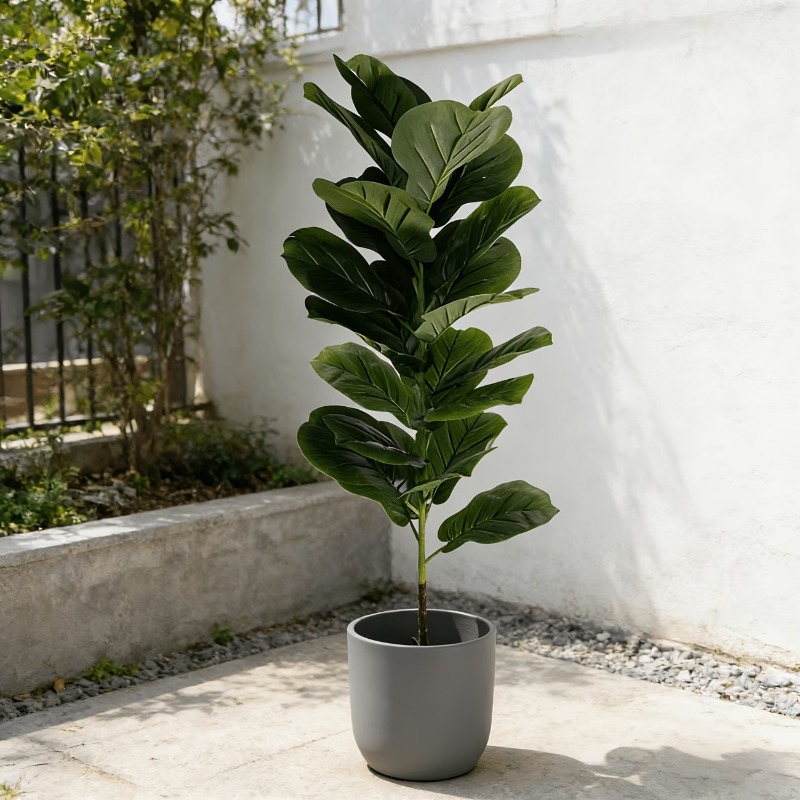 Искусственное дерево Фикус Лир – обзор и цена Ficus Lyrata Tree