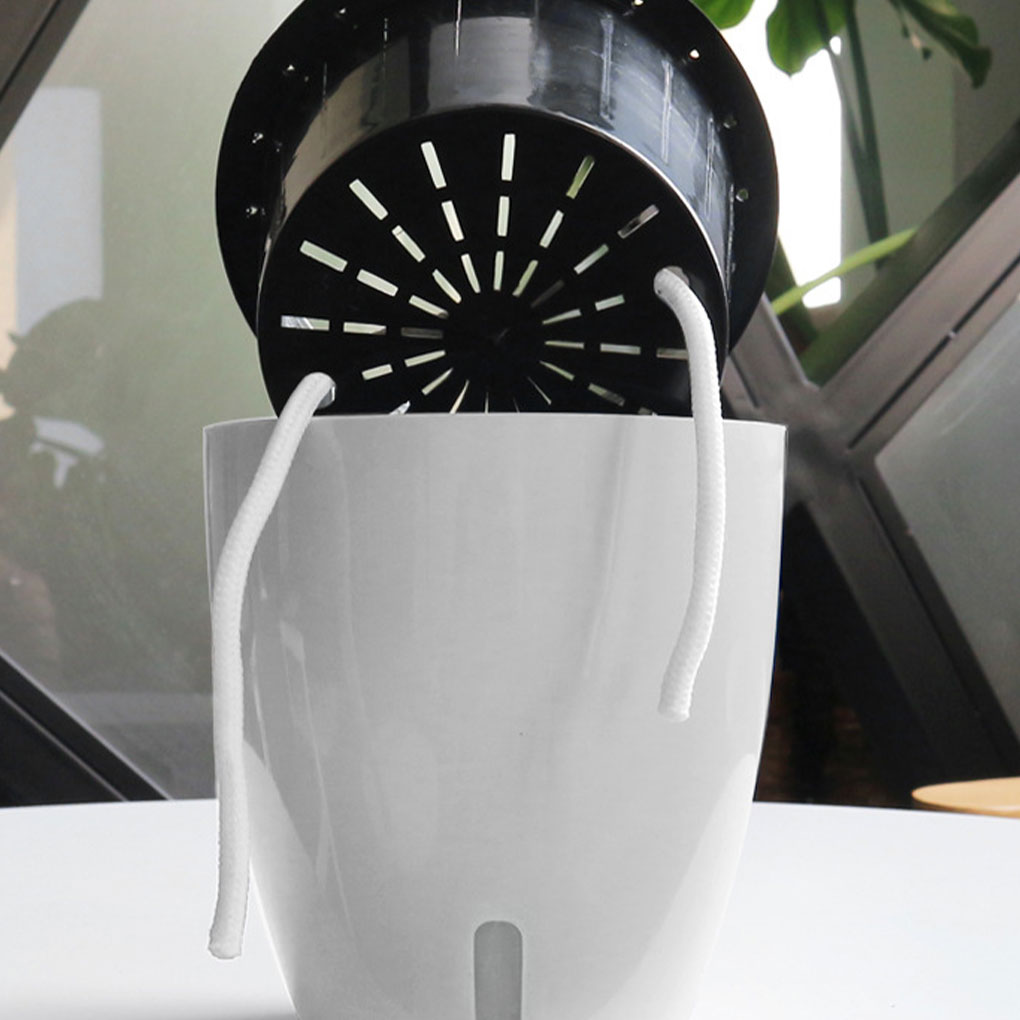 Белые портативные и экологичес – обзор и цена Aloe Vera Pot
