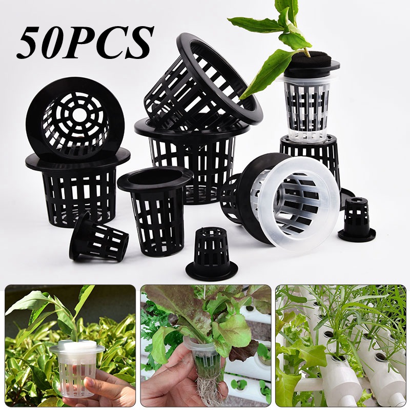 50 шт., черно-белый беспочвенн – обзор и цена Aloe Vera Pot