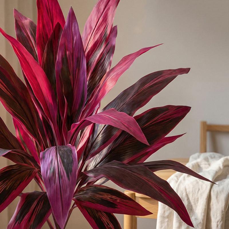 Большое искусственное дерево Д – обзор и цена Dracaena Marginata