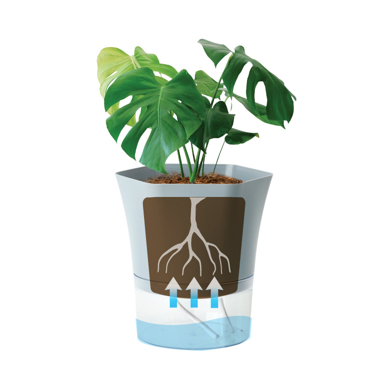 Прозрачные пластиковые самопол – обзор и цена Aloe Vera Pot