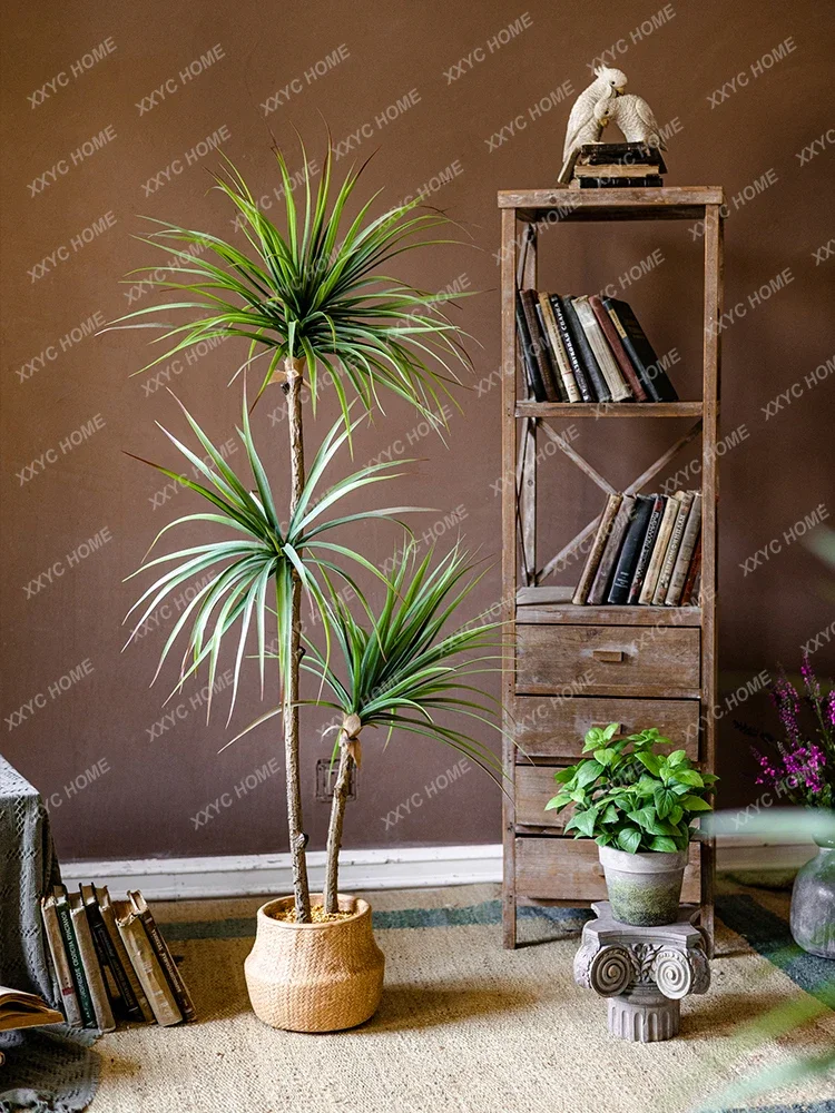 Светлый роскошный имитация зел – обзор и цена Dracaena Marginata
