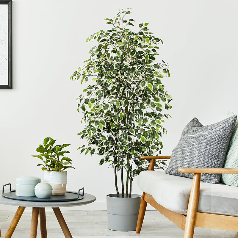 70 дюймов искусственное фикусн – обзор и цена Ficus Lyrata Tree