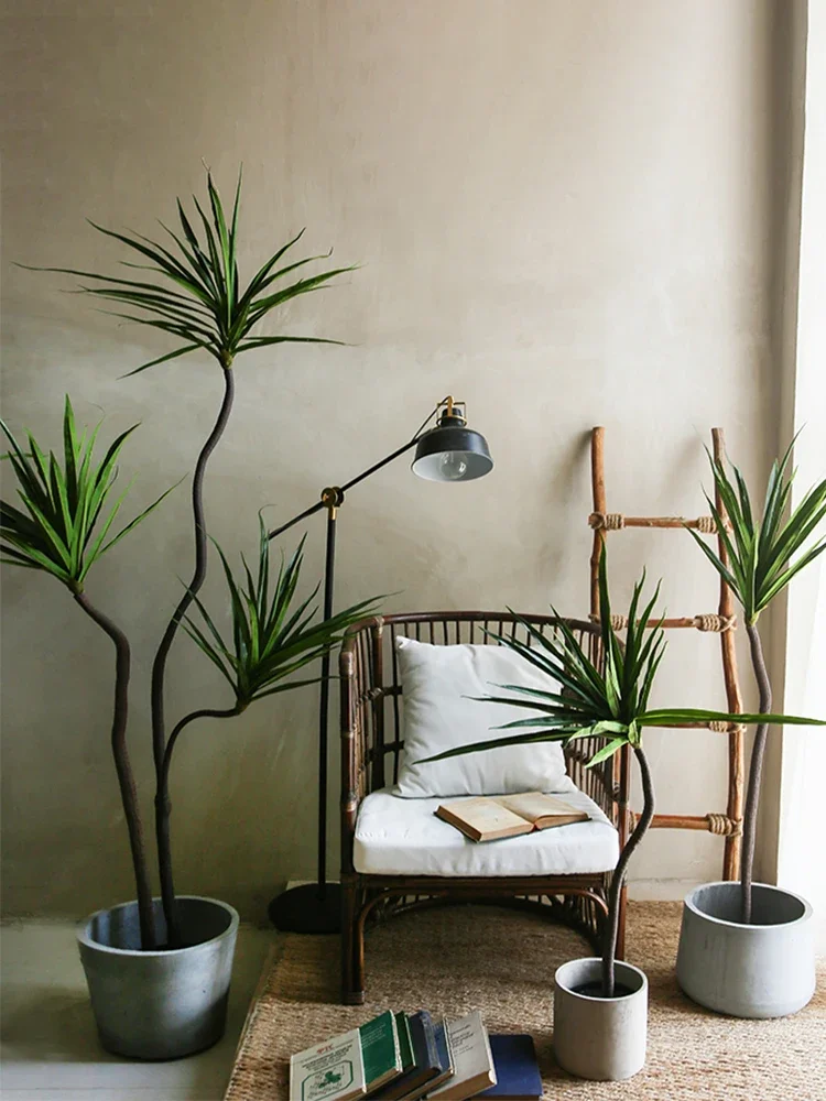 Имитация растений Dracaena Mar – обзор и цена Dracaena Marginata