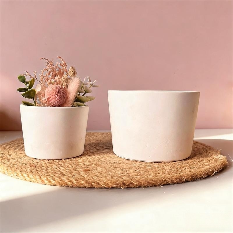 Круглая силиконовая форма для  – обзор и цена Echeveria Succulent