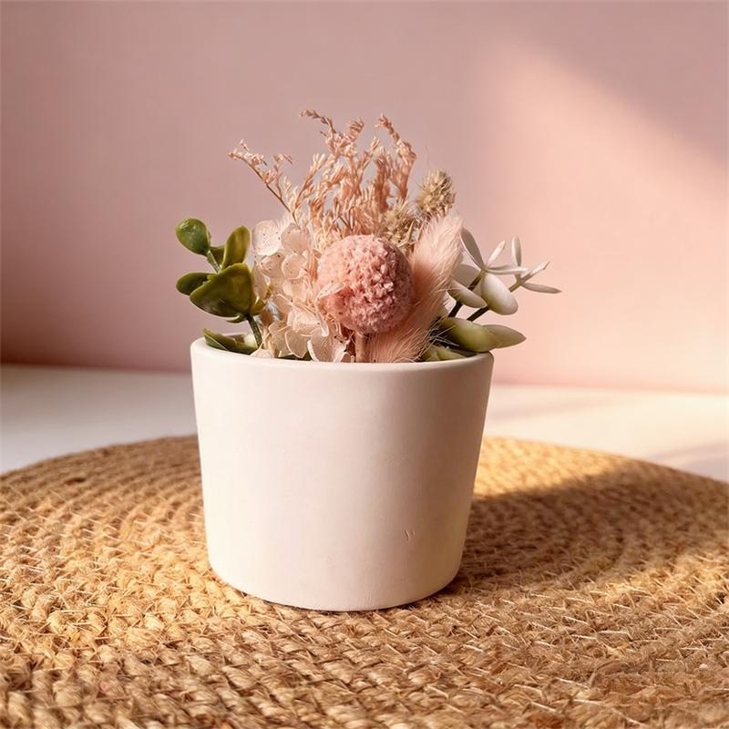 Круглая силиконовая форма для  – обзор и цена Echeveria Succulent