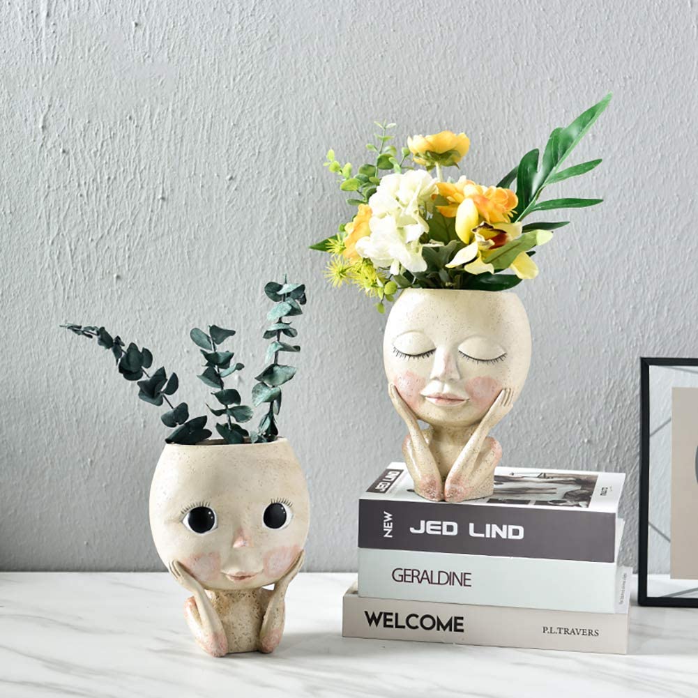 Кашпо для цветов с лицом для д – обзор и цена Echeveria Succulent