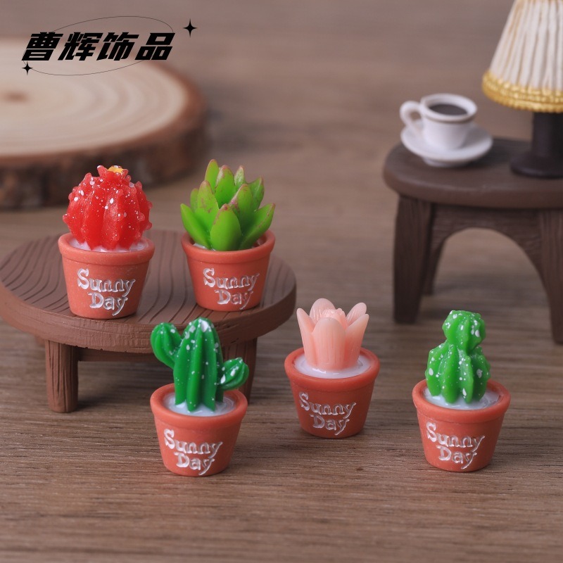 5 шт., имитация сочных горшечн – обзор и цена Echeveria Succulent