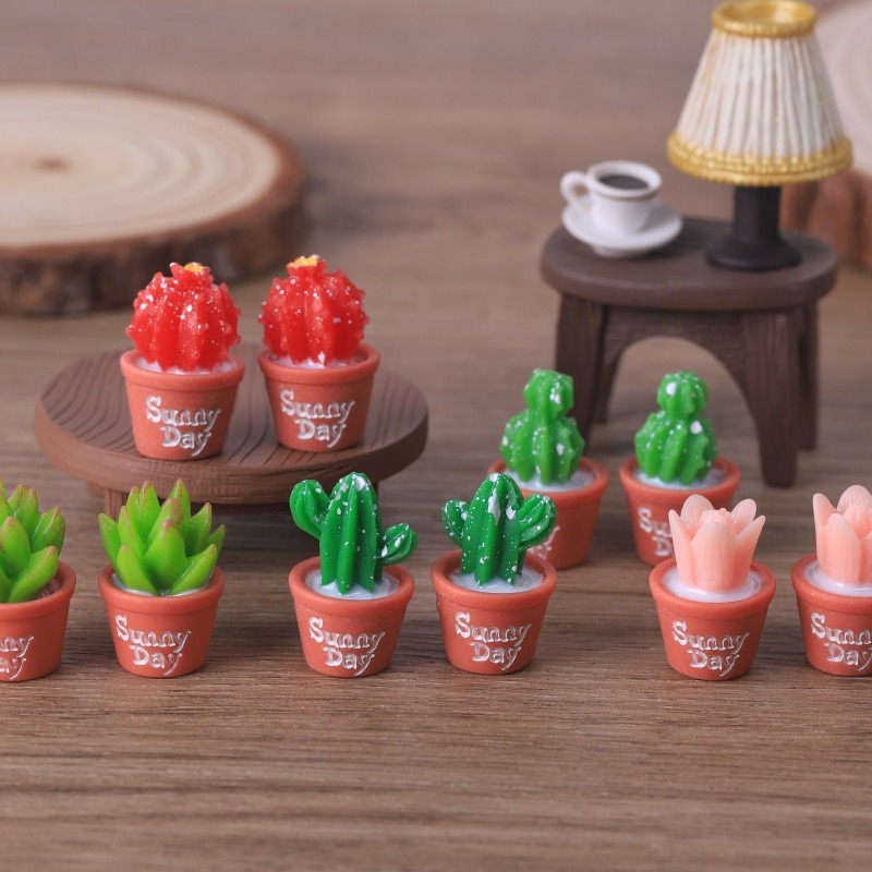 5 шт., имитация сочных горшечн – обзор и цена Echeveria Succulent